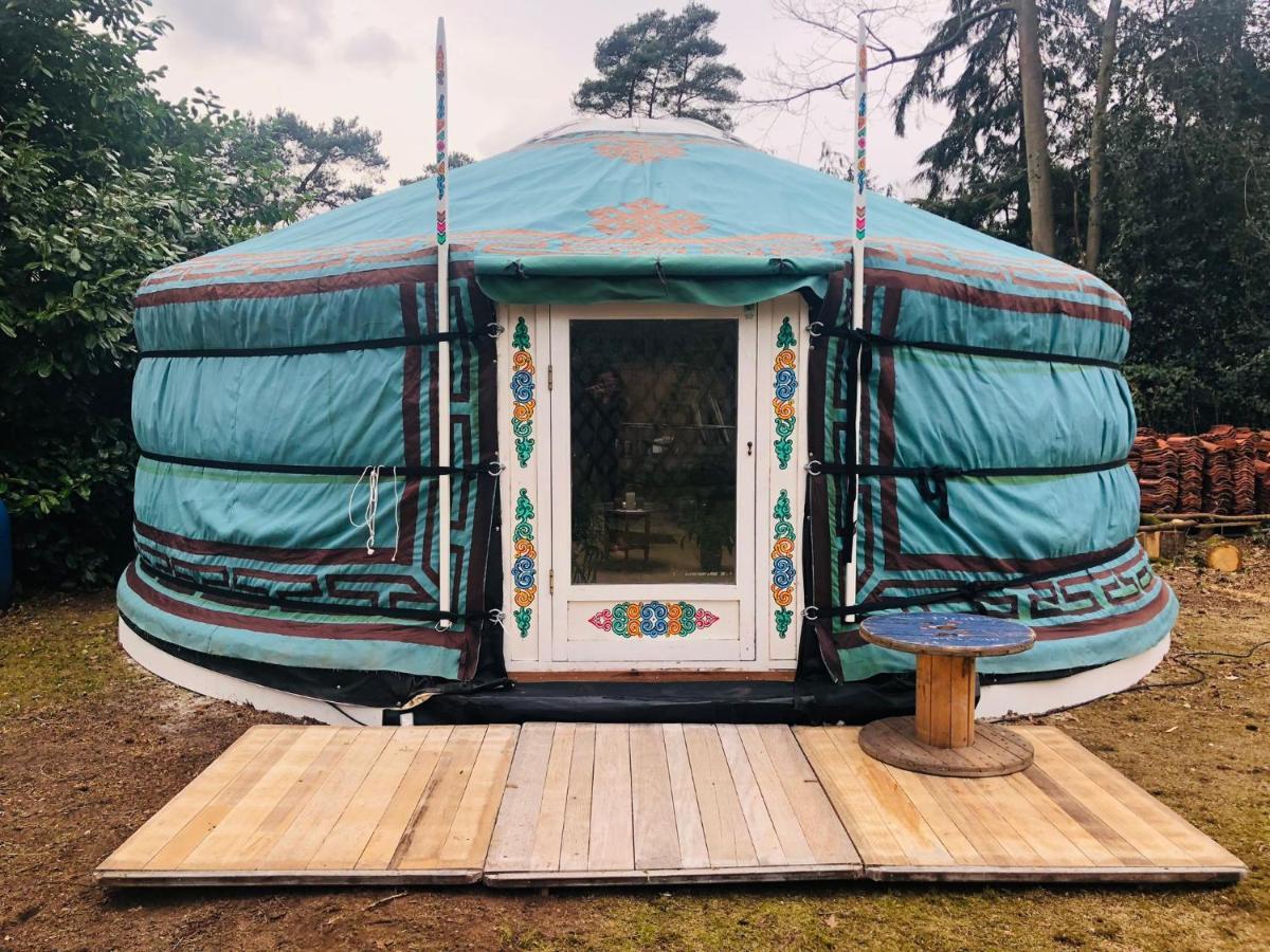 Tiny House 'T Heidehoes In Usselo Энсхеде Экстерьер фото
